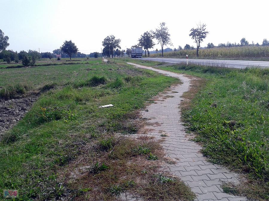 Tak oto wygląda utrzymanie odcinka DDR przy DK72. Wstyd, niech każdy o tym wie.