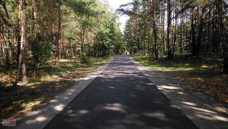 Droga przez Kampinos z Kampinosu - początek