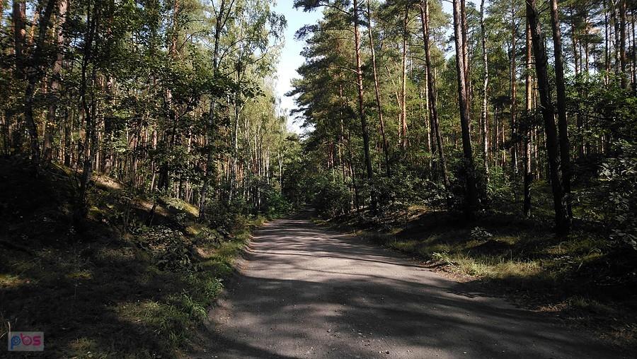 Droga przez Kampinos wersja terenowa - kontynuacja