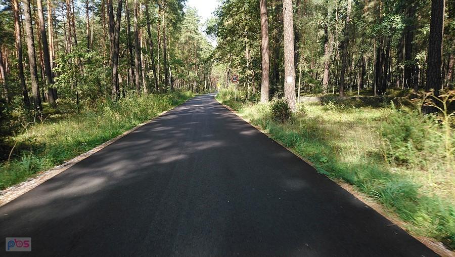 Droga przez Kampinos - najnowszy i najlepszy fragment do Nowego Wilkowa