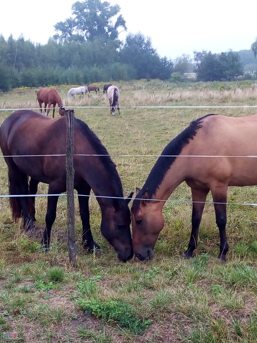 Ciekawe, o czym rozmawiają