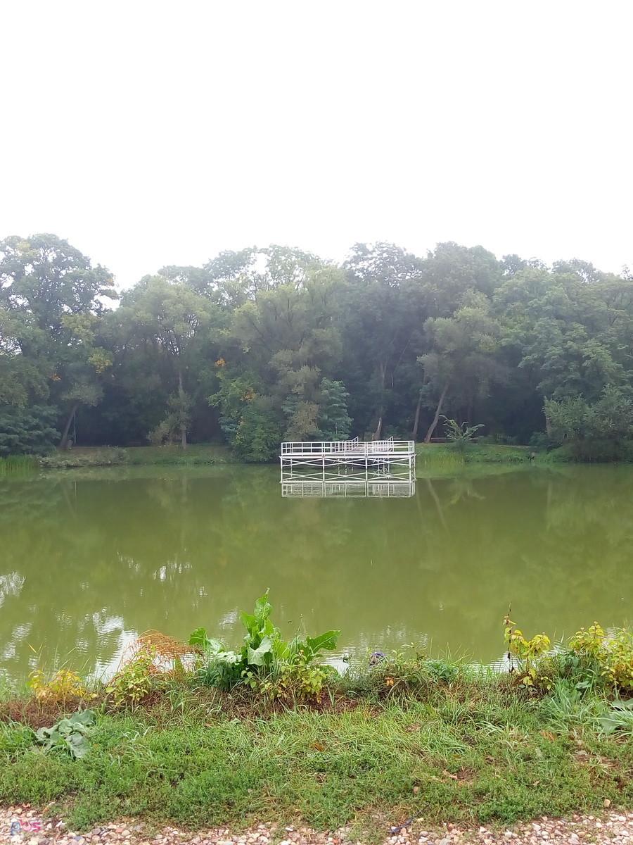 Staw w Ożarowie
