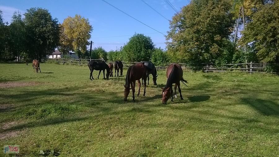 To co mnie urzeka