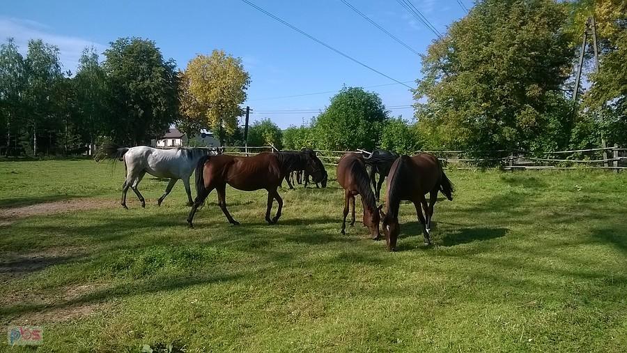 Po prostu piękno