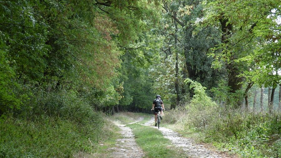 Biker i wrześniowy urok lasu w WPN