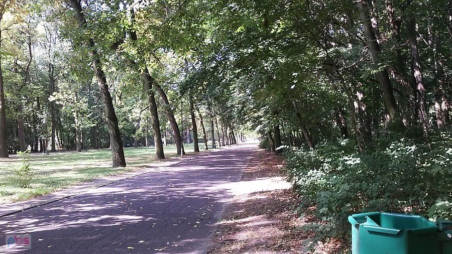 Park na Zdrowiu