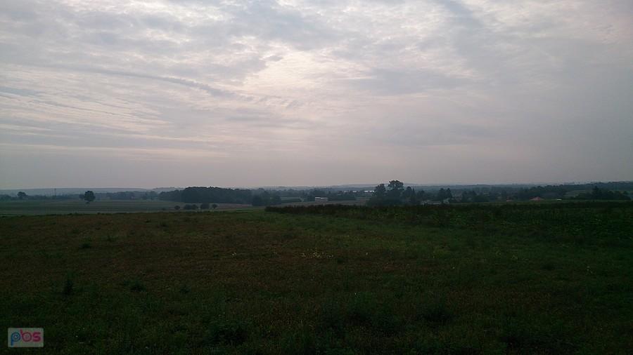 Pola wczesnym porankiem