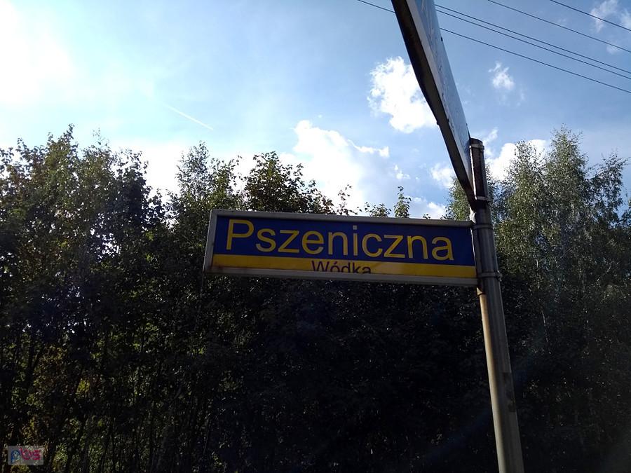 Wódka. Pszeniczna.