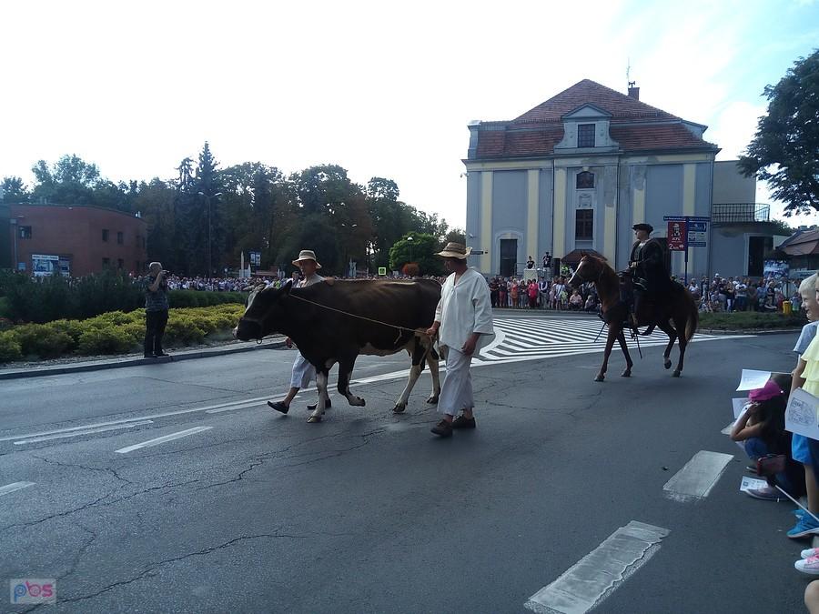 chłop Rybka