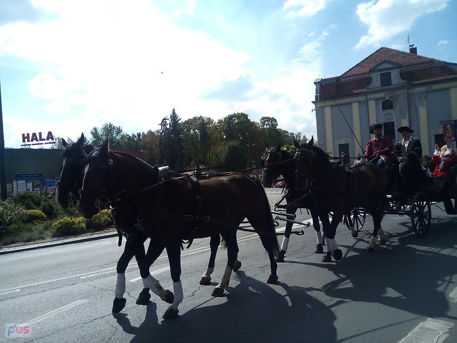 Król polski August II Mocny