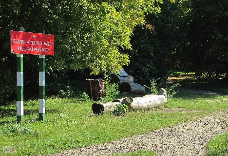 Rezerwat Jeziorko Czerniakowskie