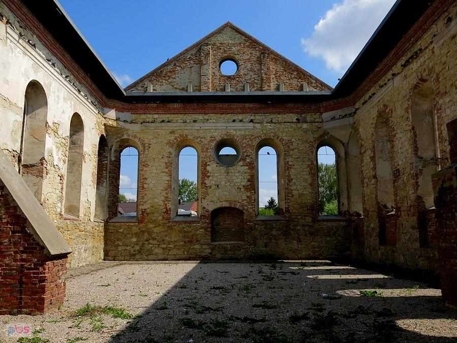 Wnętrze ruiny synagogi - Działoszyce