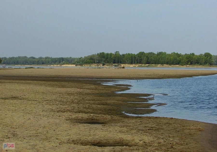 Rozległe plaże nad Wisłą