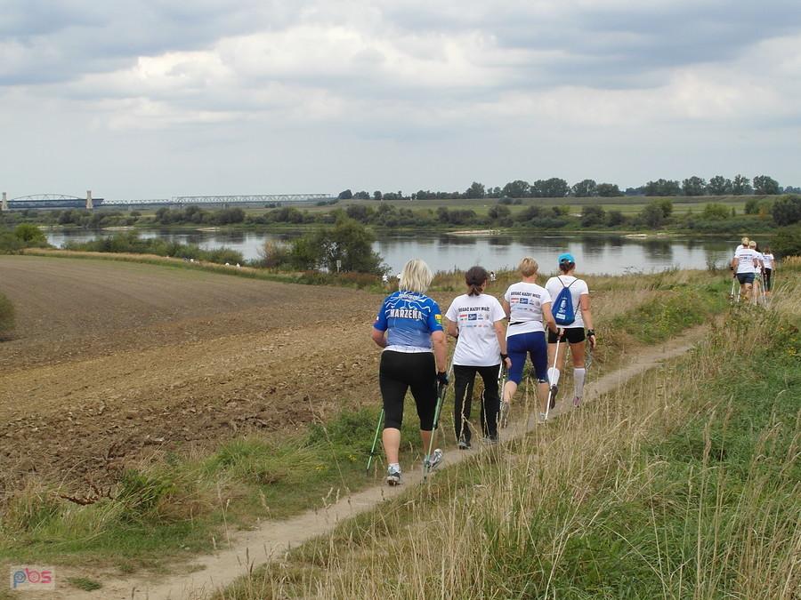 V Pomorskie Święto Wisły - marsz Nordic Walking
