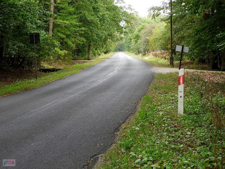 Przede mną prosta o długości 3500 metrów - od Gunicy w kierunku Dobieszczyna.