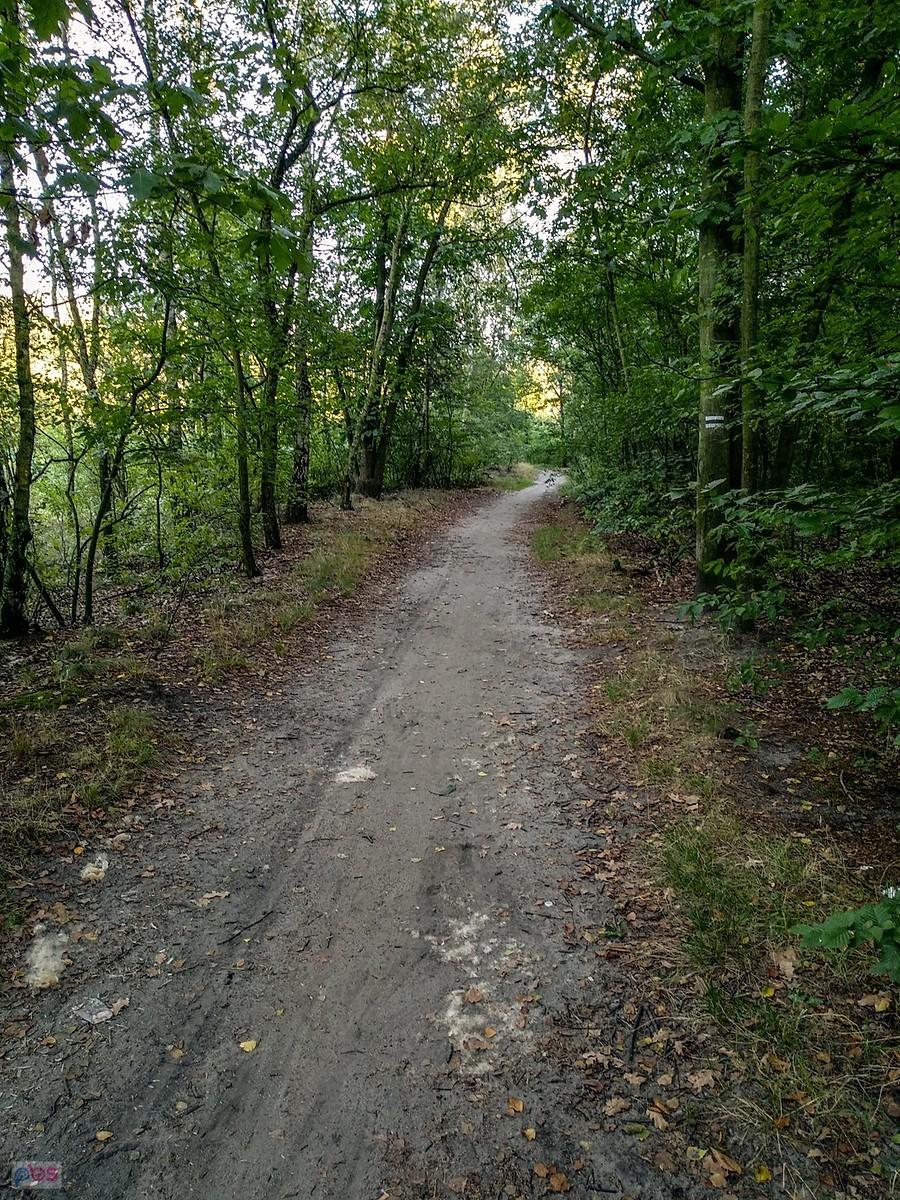 Przed Halembą