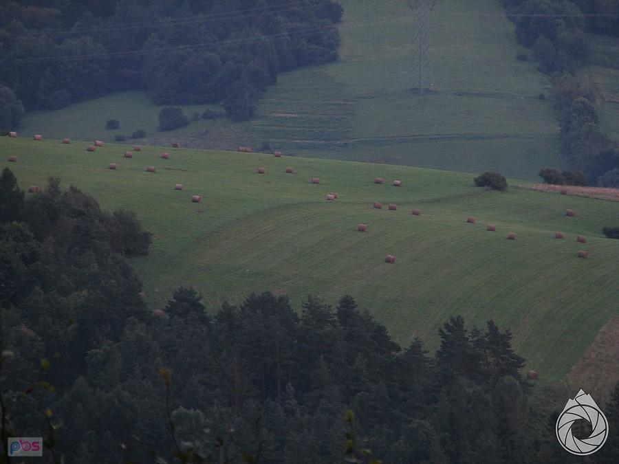 bele siana zwiastują jesień