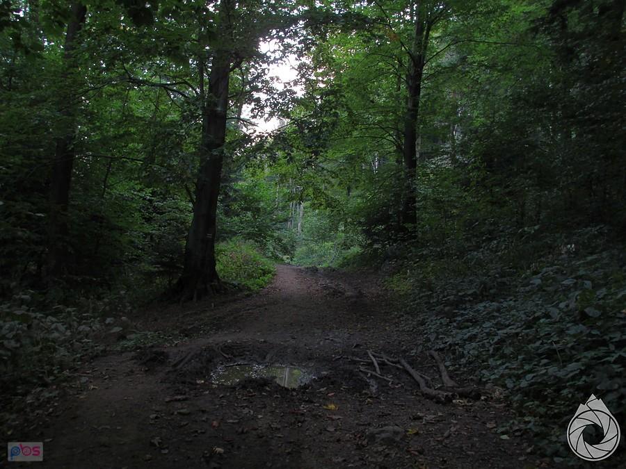 GSB pod Cergową