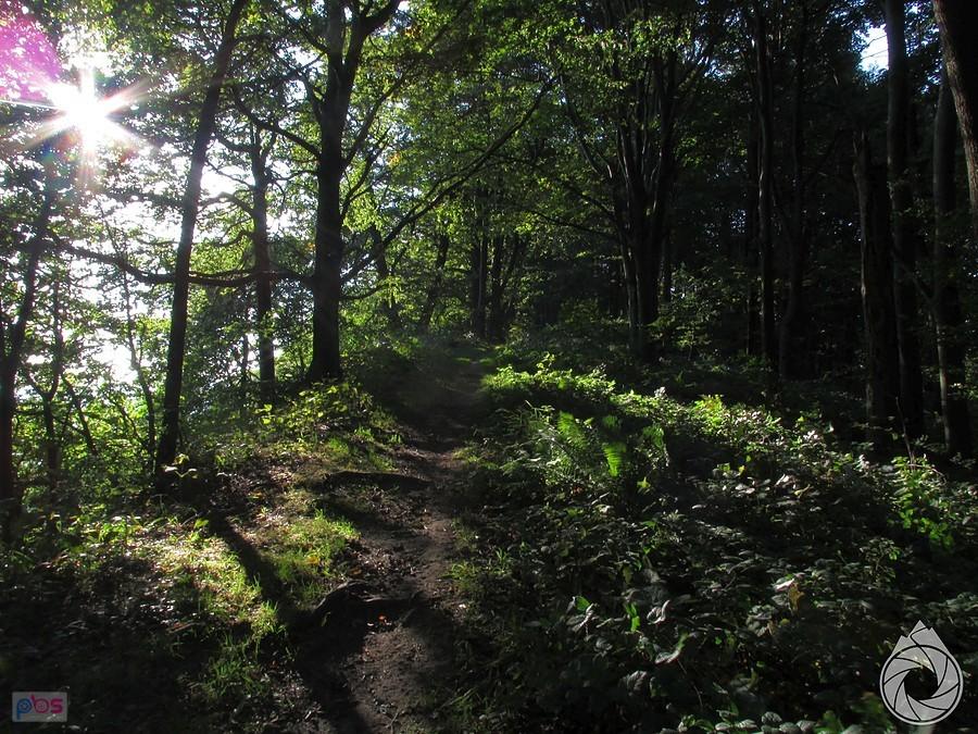 grań Cergowej