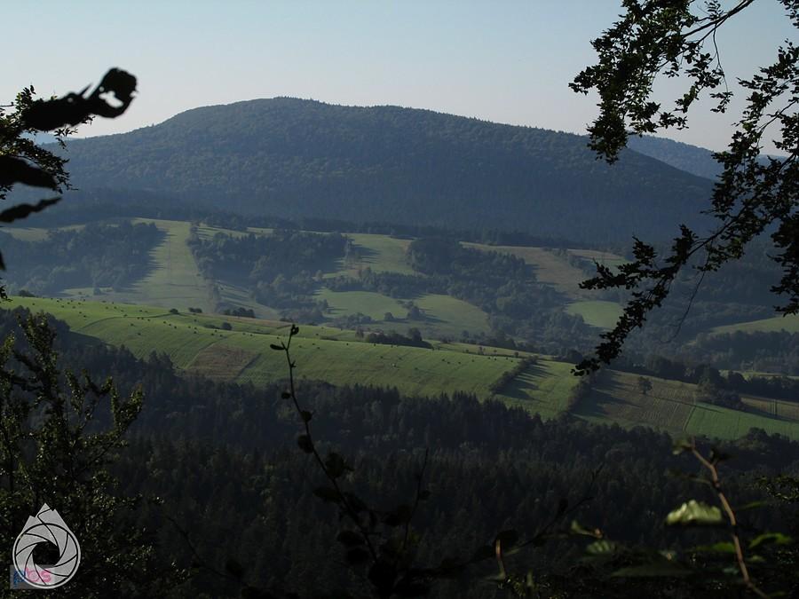 Piotruś z rana