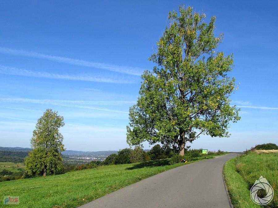 na szosie nad Lubatową i Duklą
