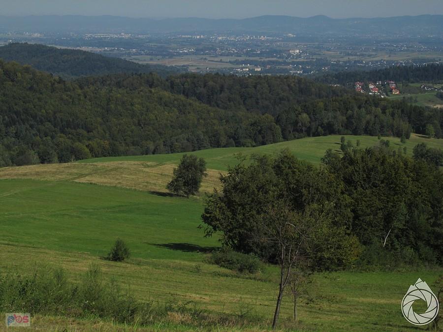Doły Jasielsko-Sanockie i Pogórza