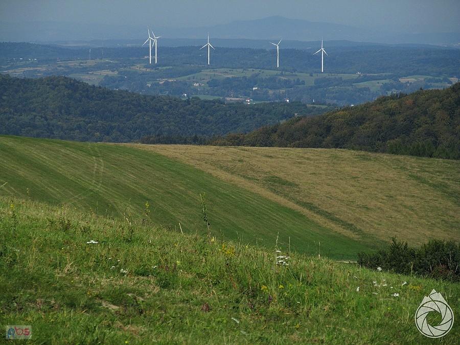 wiatraczki nad Sieniawą