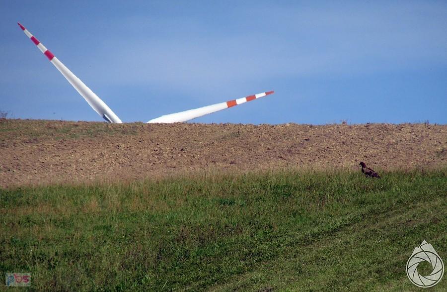 szponiaste polują na nogach pod turbinami