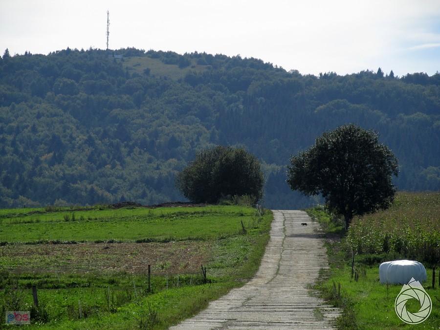 droga w stronę Tokarni