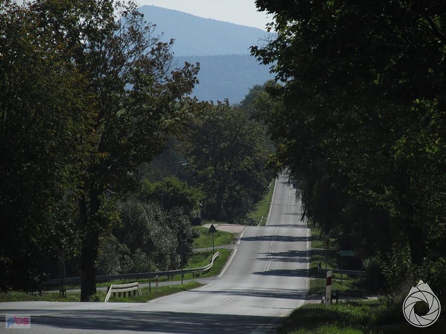 Łysa Góra i znów Cergowa-ta góra jest wszędzie