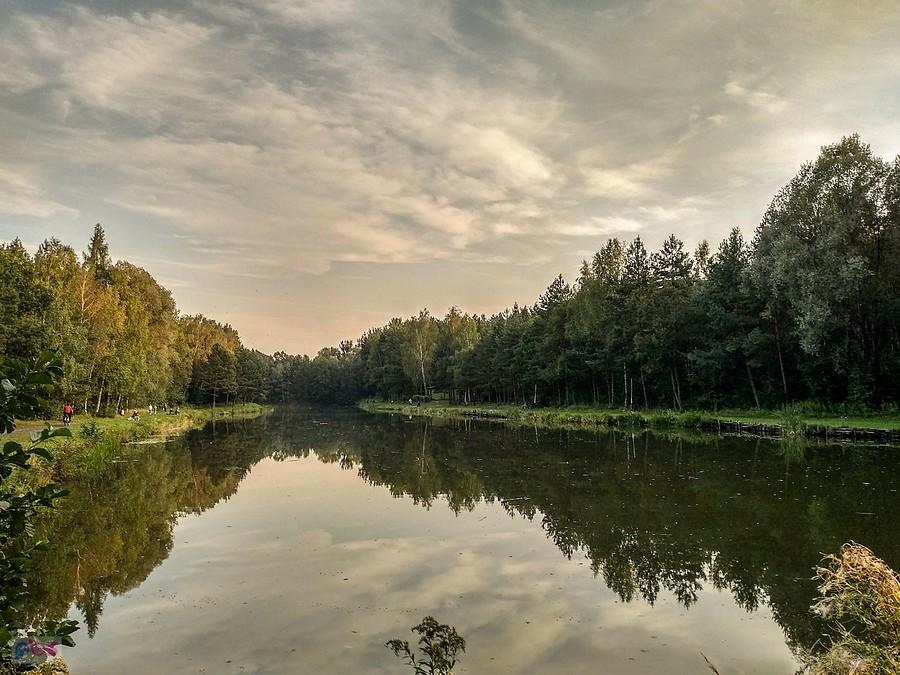Staw Kiszka na Halembie