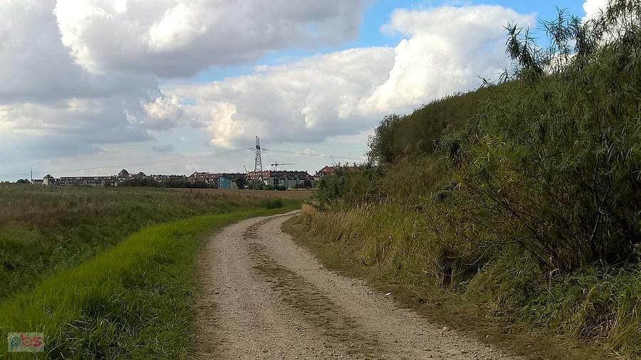 Polną drogą do Przecławia.