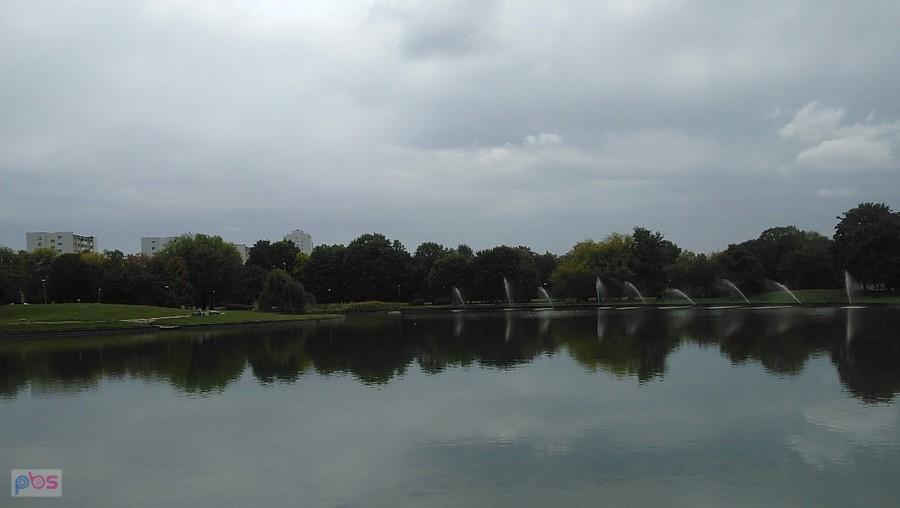 Staw na Polu Mokotowskim