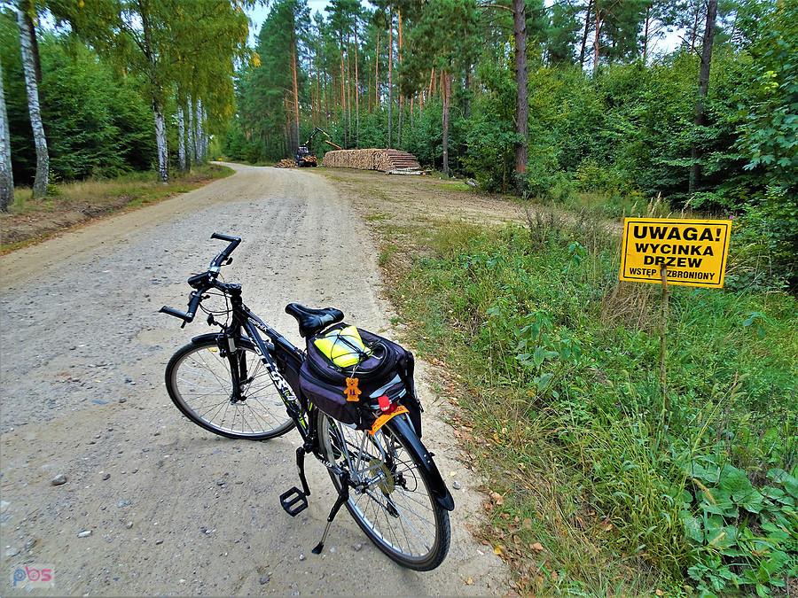 Rowerem po okolicy - Kociewie.