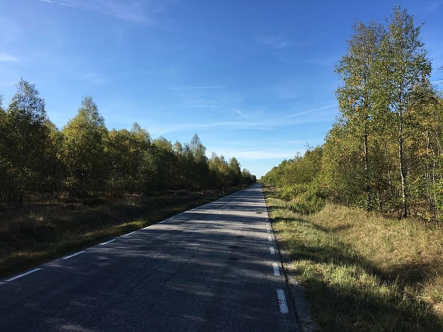 Trasa Wieleń - Miały