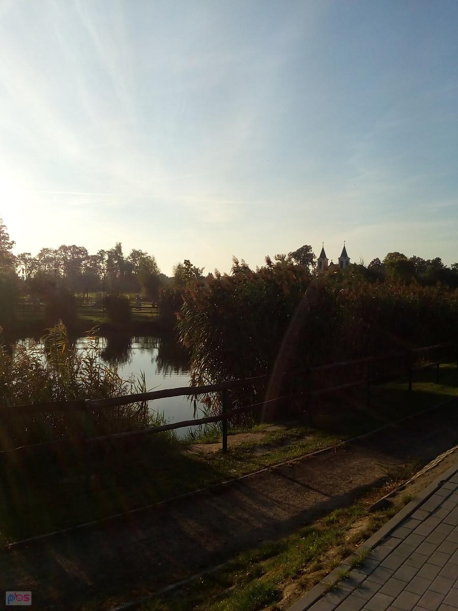 Staw w Borzęcinie