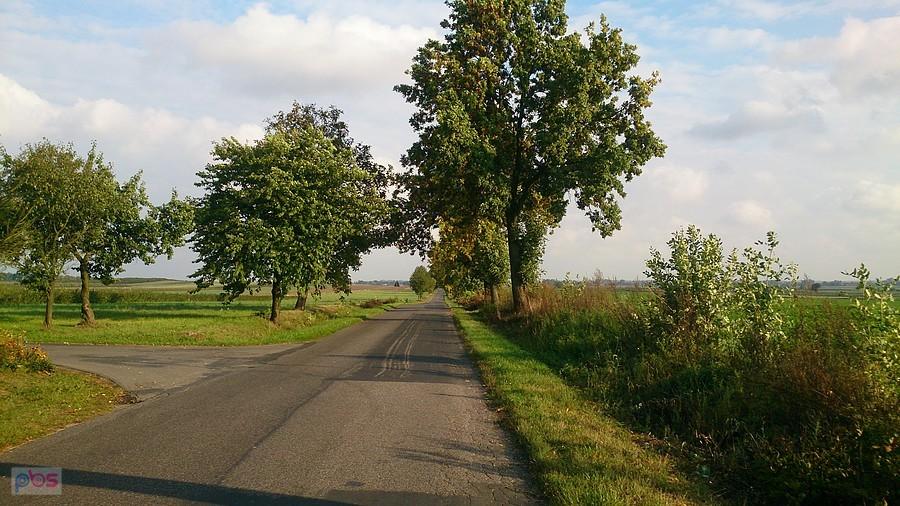 Droga w kierunku Bełżyc