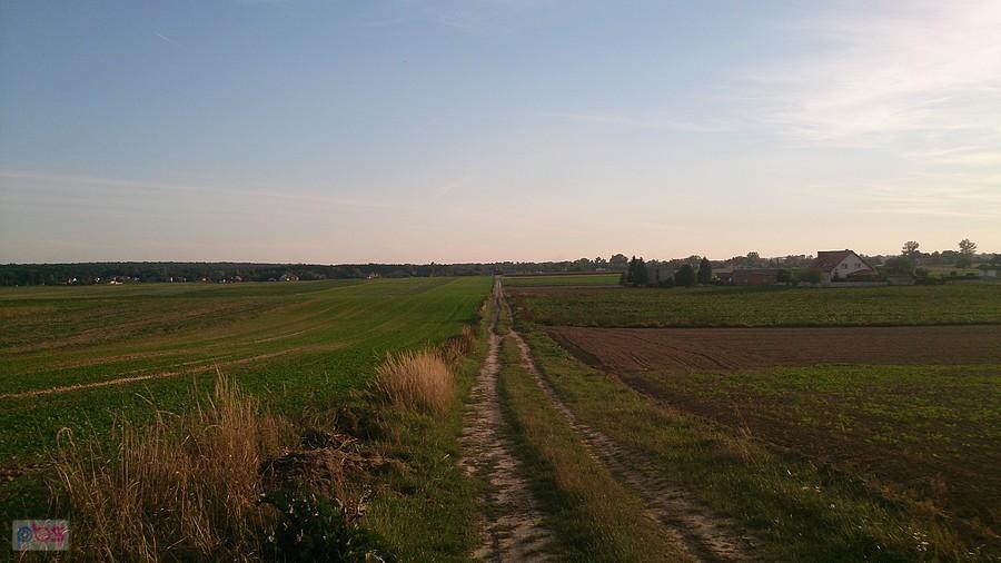 Polna droga niedaleko Strzeszkowic