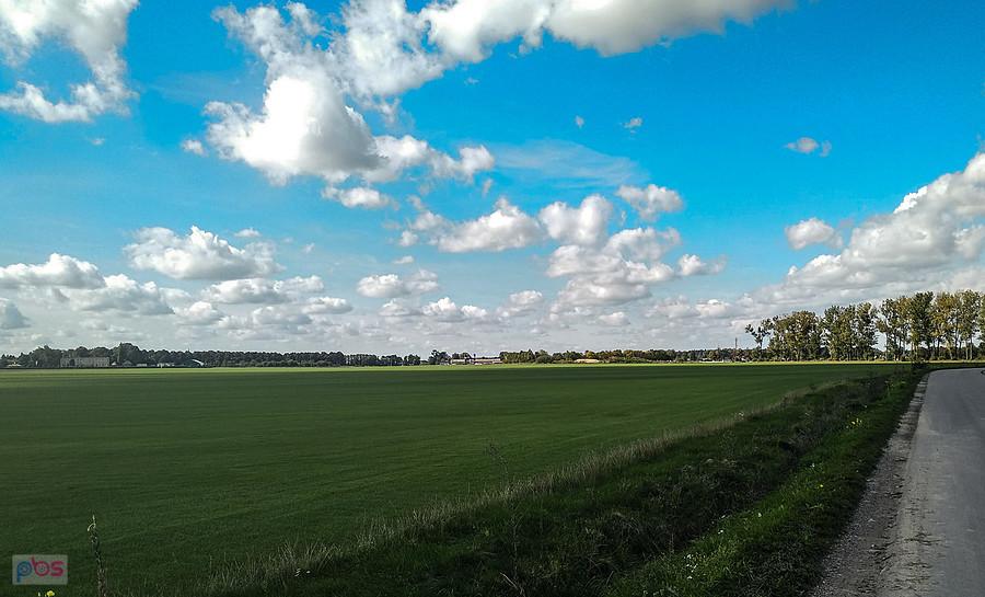 Zielone pola