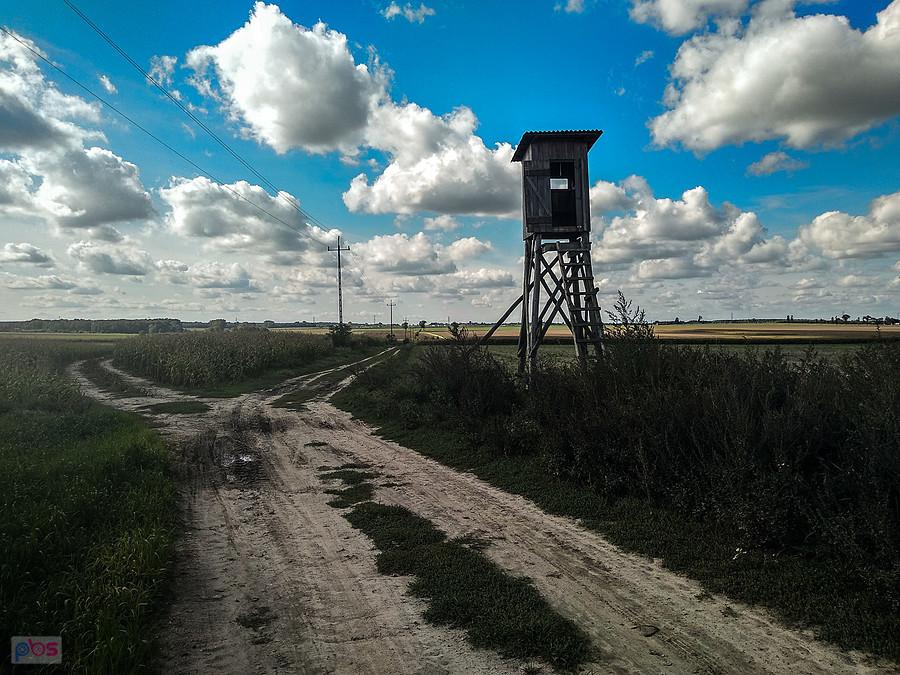 Ambona w pobliżu źródeł Królewskich