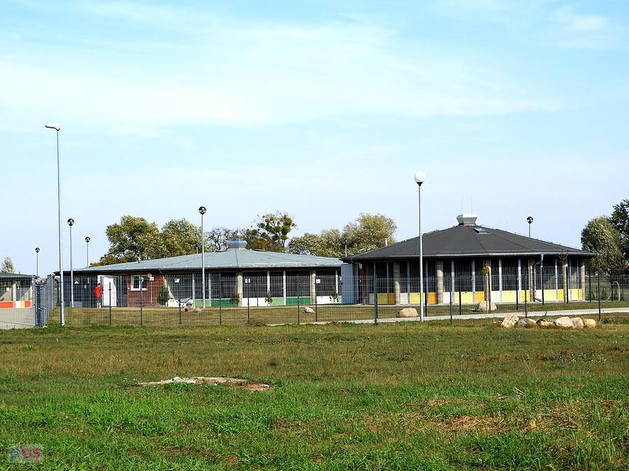 Schronisko dla zwierząt na skraju Dobrej.