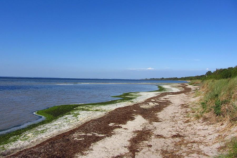 Zatoka Pucka