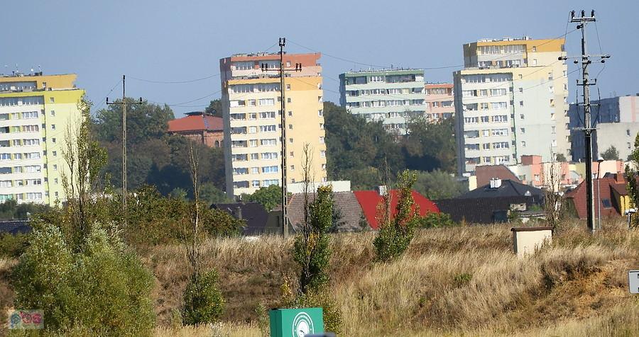 Tradycyjne zdjęcie spod marketu Auchan.