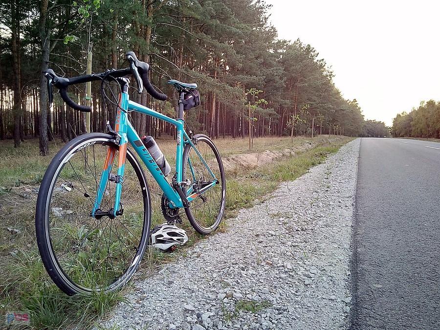 Giant Contend SL 2