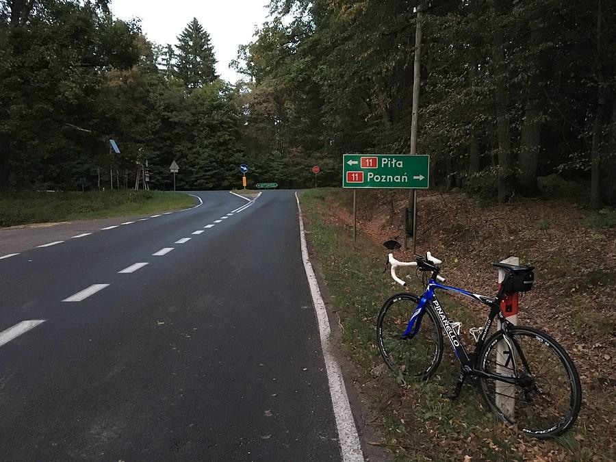 dojazd do DK-11 przed Chodzieżą