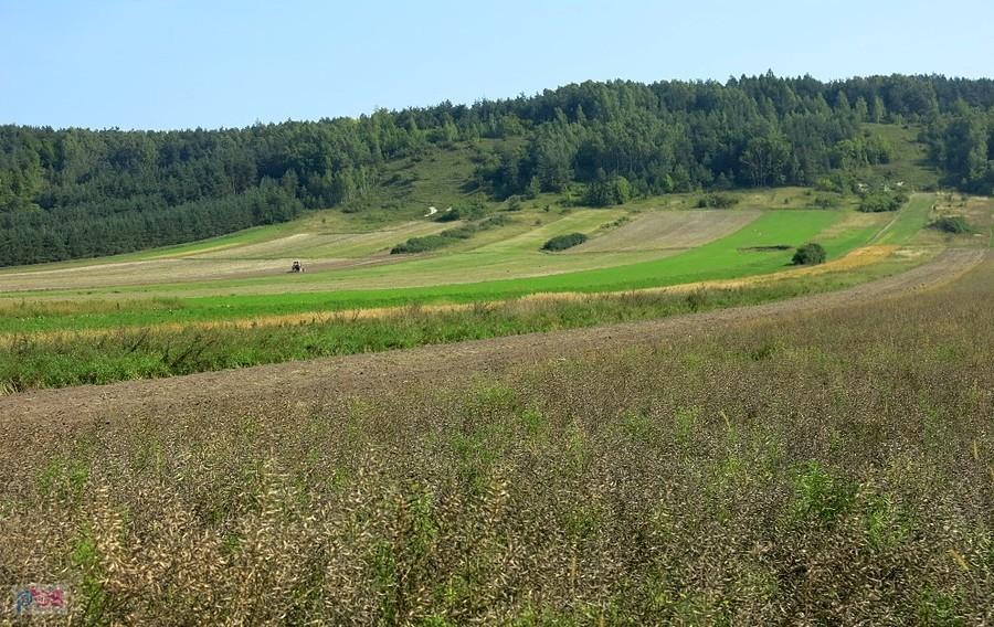 Góry Pińczowskie