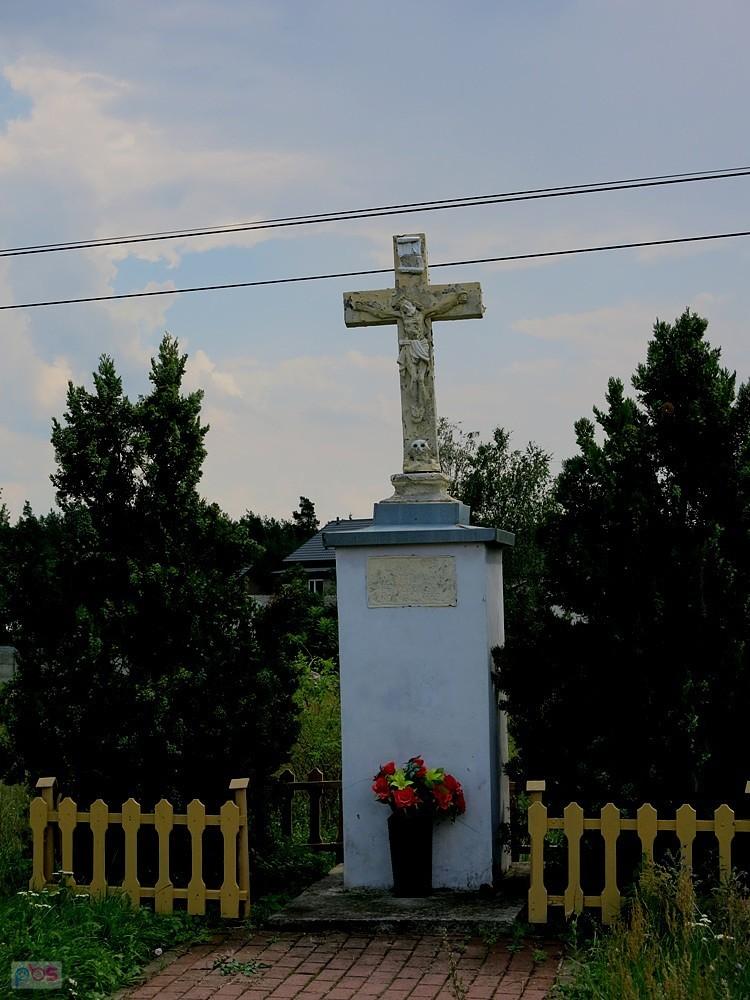 Która to dziś czaszka?
