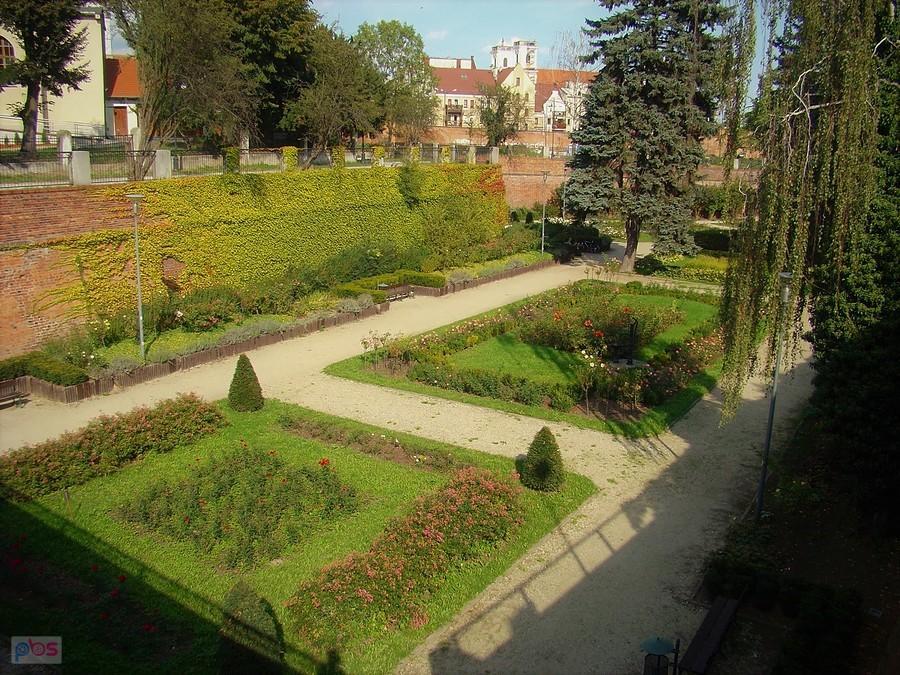 Ogród różany w głogowskiej fosie