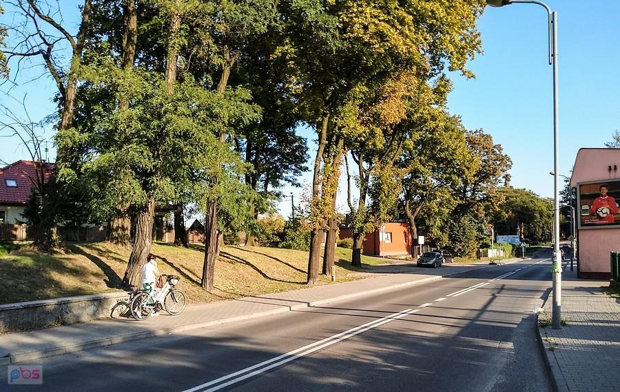 W Bielszowicach