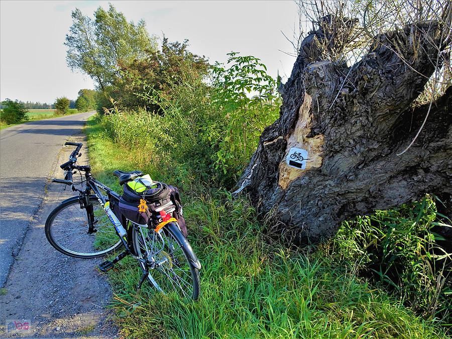 Wycieczka rowerowa nad morze - Jantar W drodze.